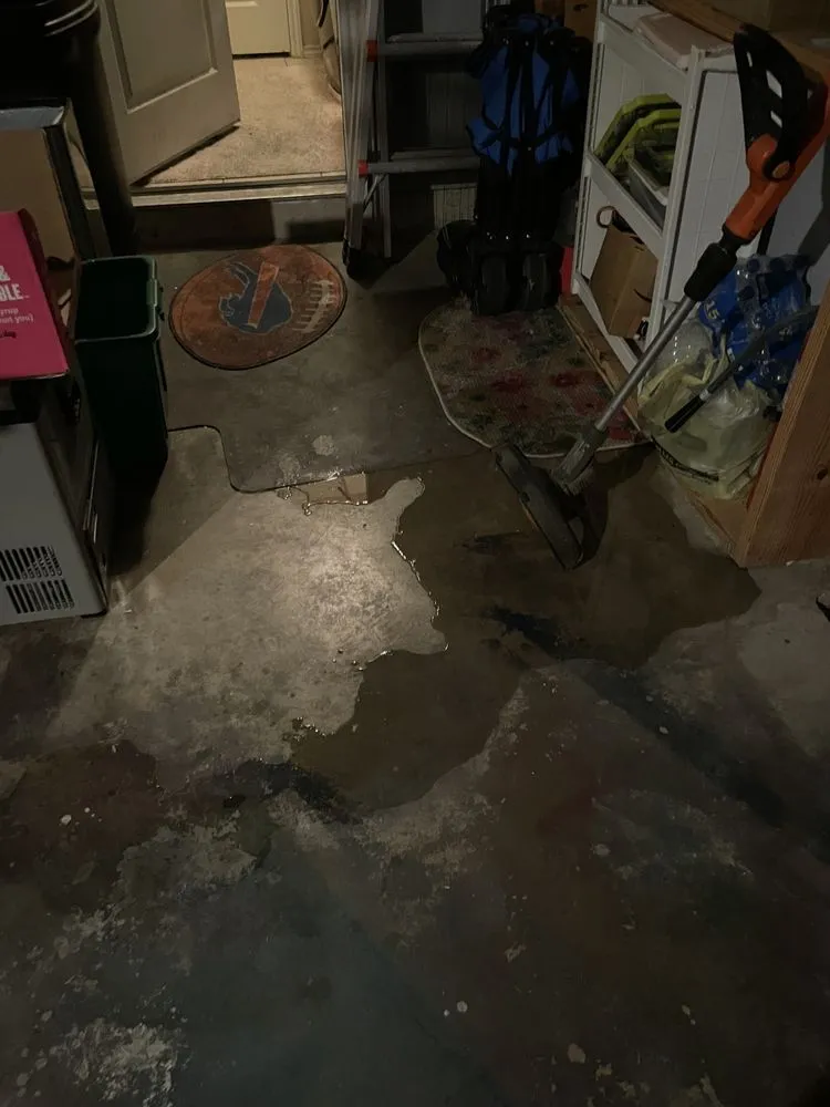 Slide of Mario Bros Plumbing