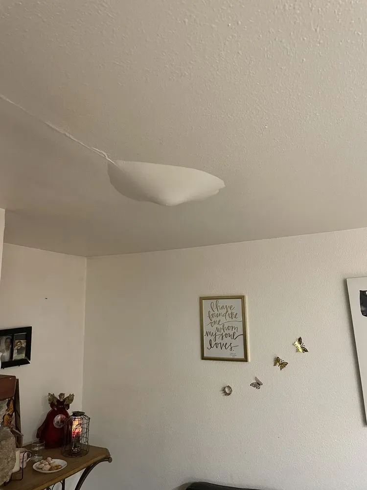 Slide of Mario Bros Plumbing