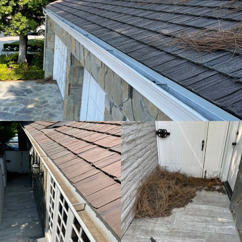 Slide of Mario Brothers plumbing & construction