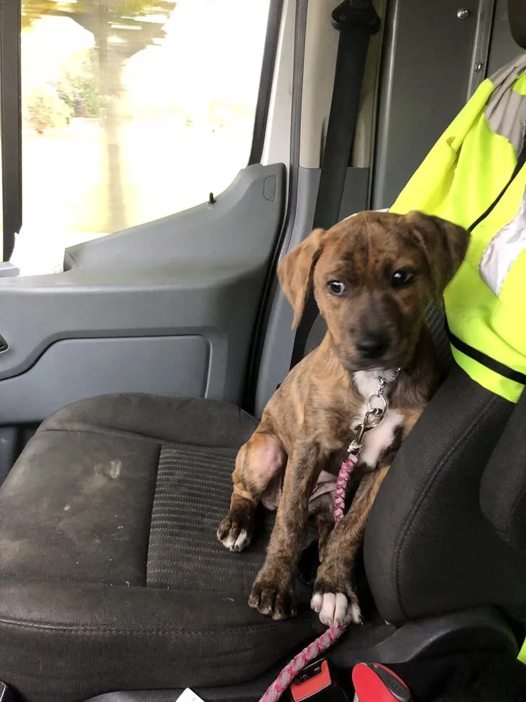 Slide of Mario Plumbing Service