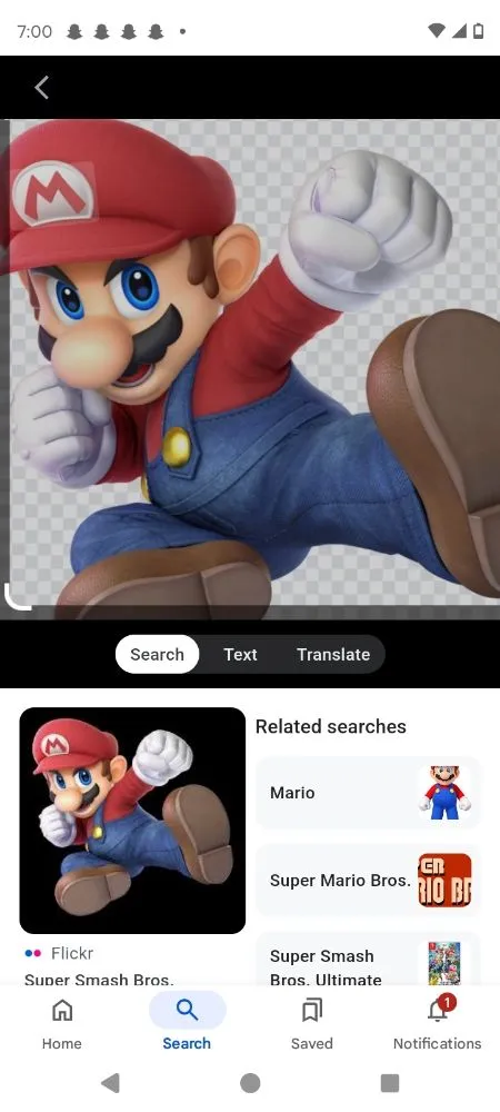 Slide of Mario's Plumber