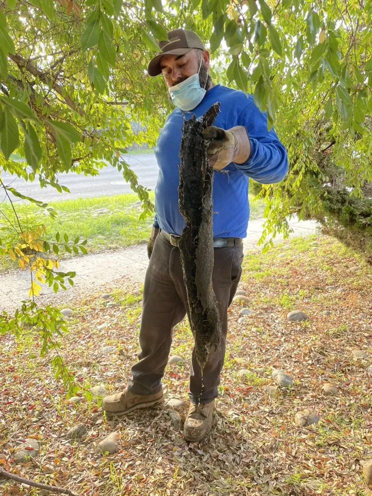 Emergency water heater service service in Redwood City, CA - Mario's Plumbing And Drains