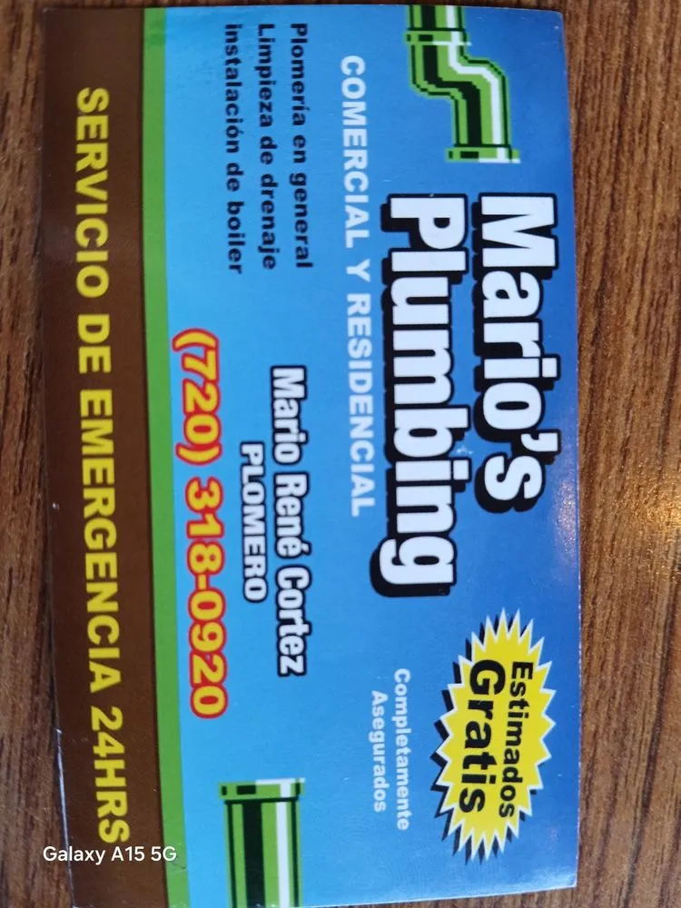 Slide of Mario’s Plumbing