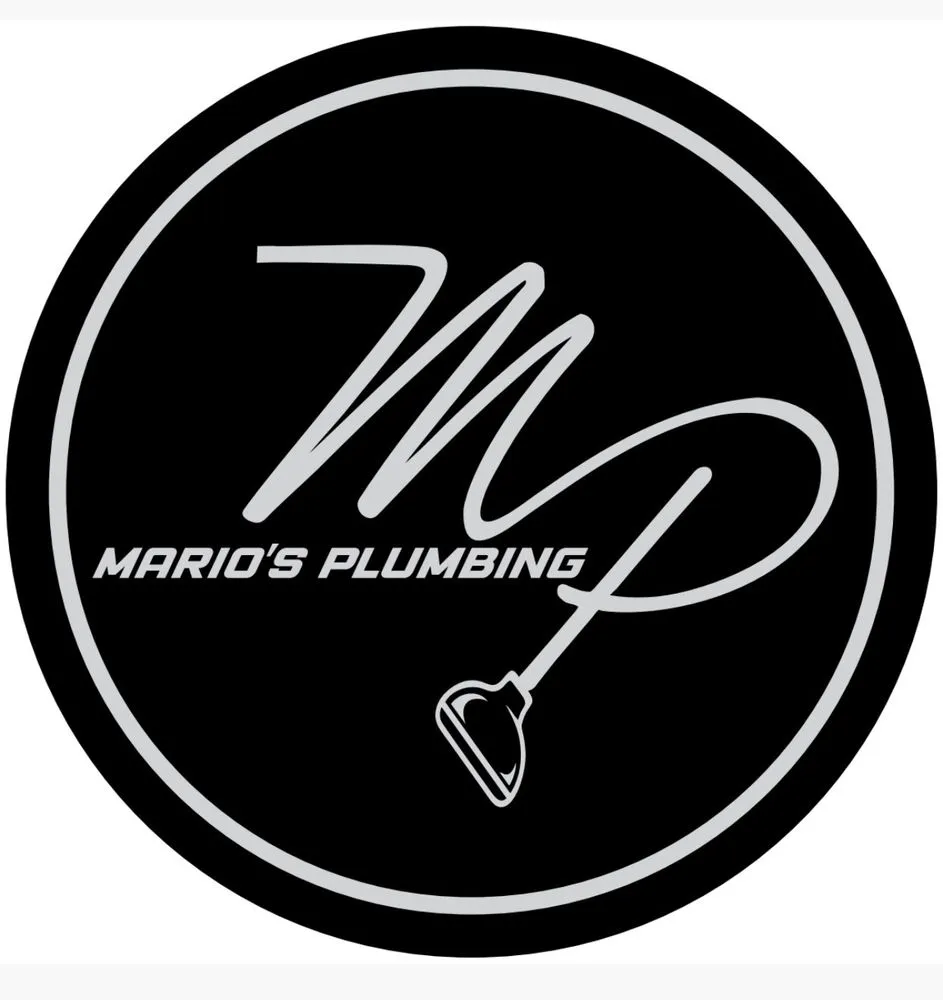 Slide of Mario's Plumbing