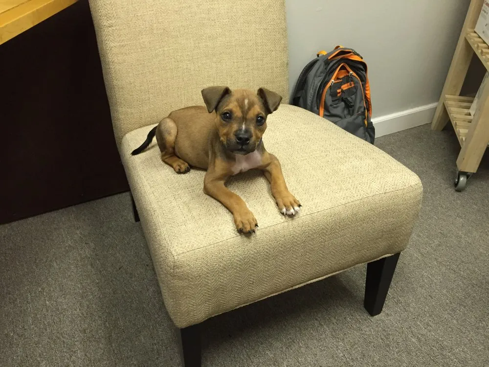 Slide of Mark Masters