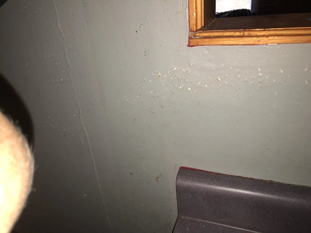 Slide of Marksman plumbing and construction