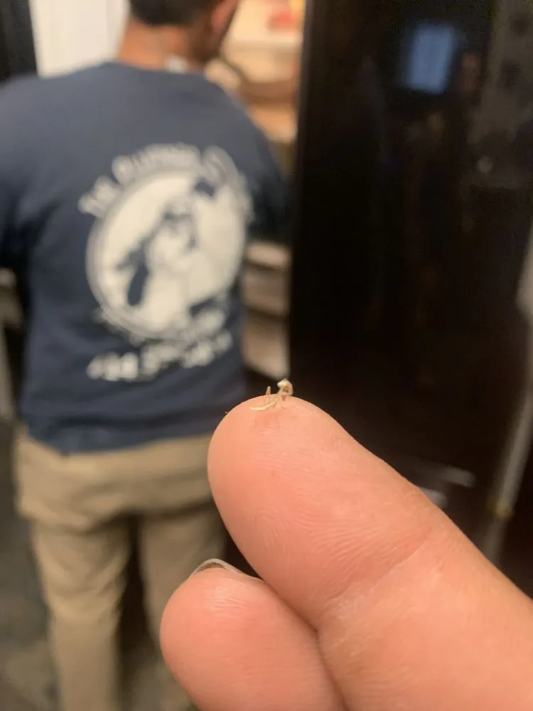 Slide of Maro Plumbing