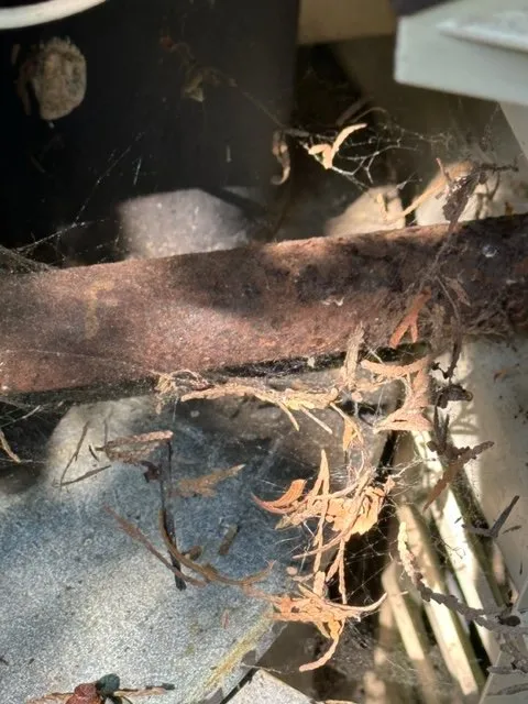 Slide of Marquee Pools & Service