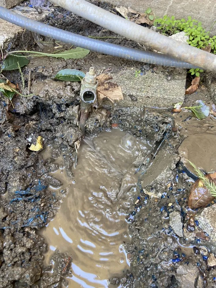 Slide of Marquez plumbing