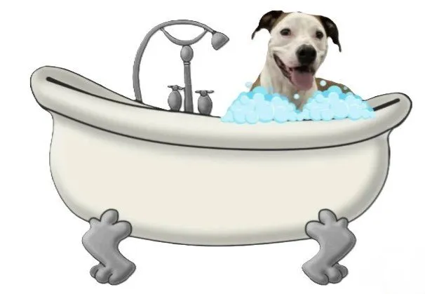 Quality water heater service service in Middlefield, CT - Marquis Bath Remodeling