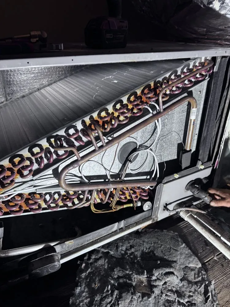 Slide of Marsa Remodeling