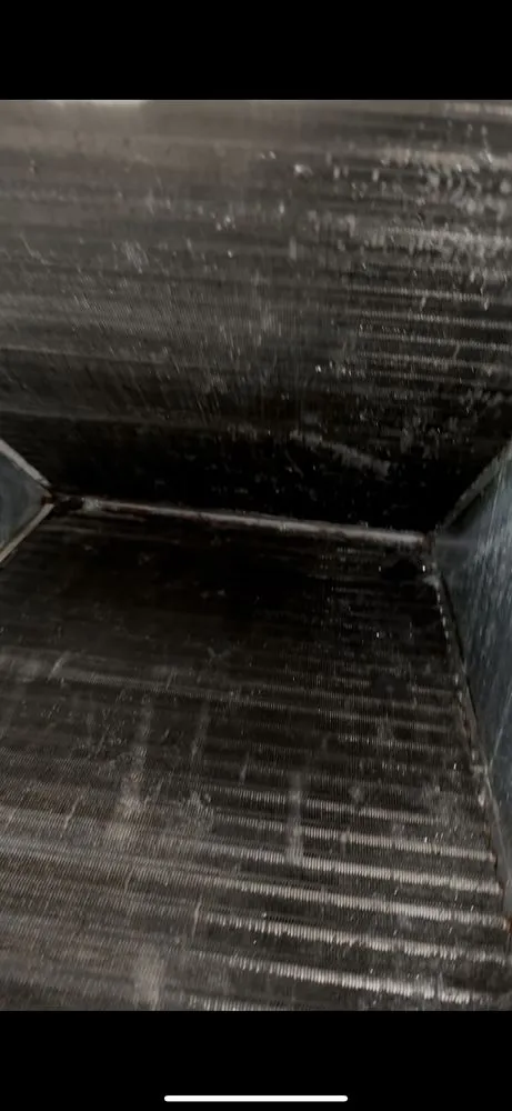 Slide of Marsa Remodeling