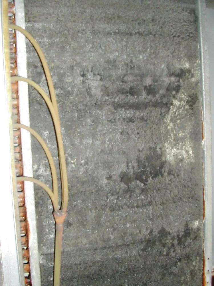 Affordable drain cleaning in Glens Falls, NY by Martin Mechanical Services