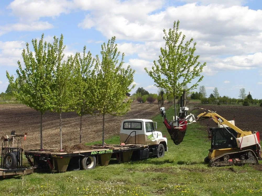 Slide of Martinez Landscaping and Plumbing