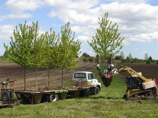 Martinez Landscaping and Plumbing Logo