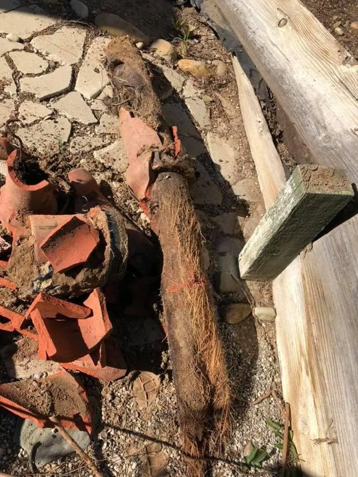 Slide of Martin's Rooter & Plumbing