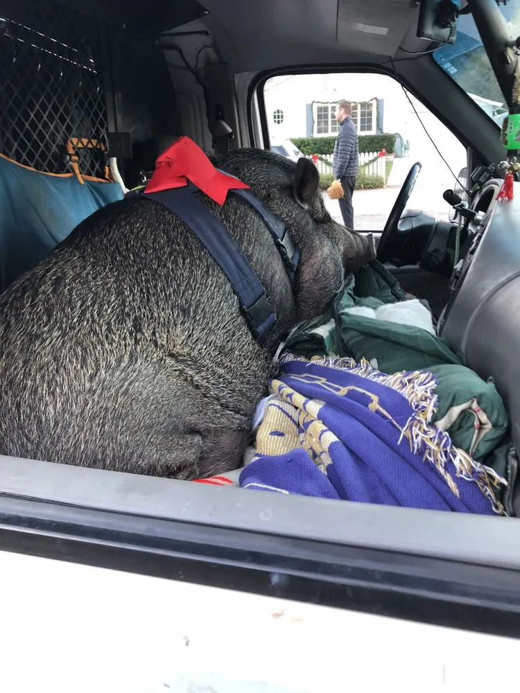 Slide of Marti’s Plumbing Service