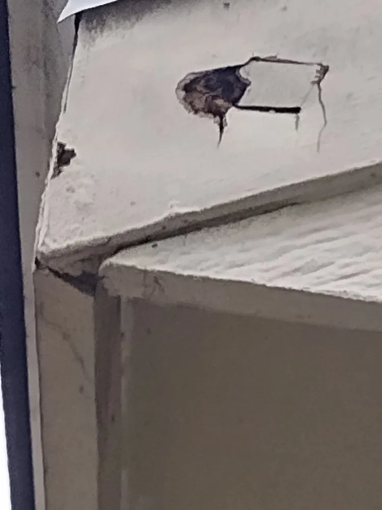 Slide of Maryea's Handyman Services and Painting