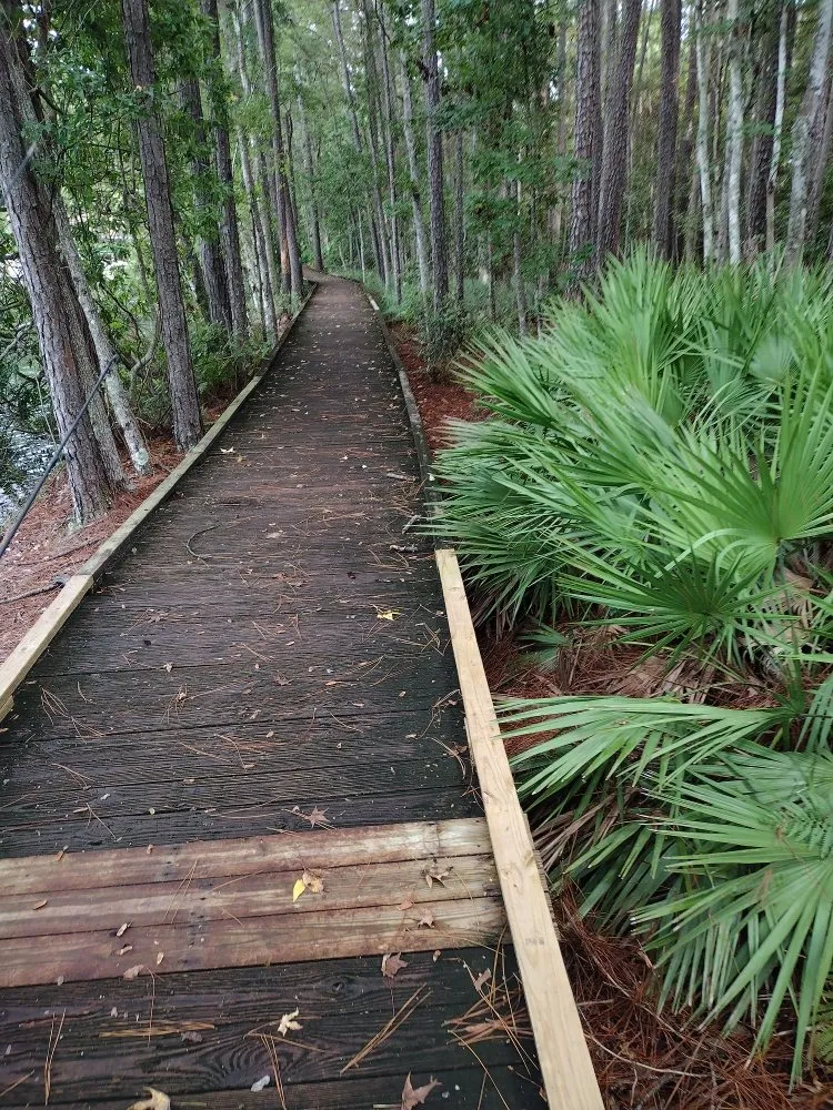 Slide of Maryea's Handyman Services and Painting