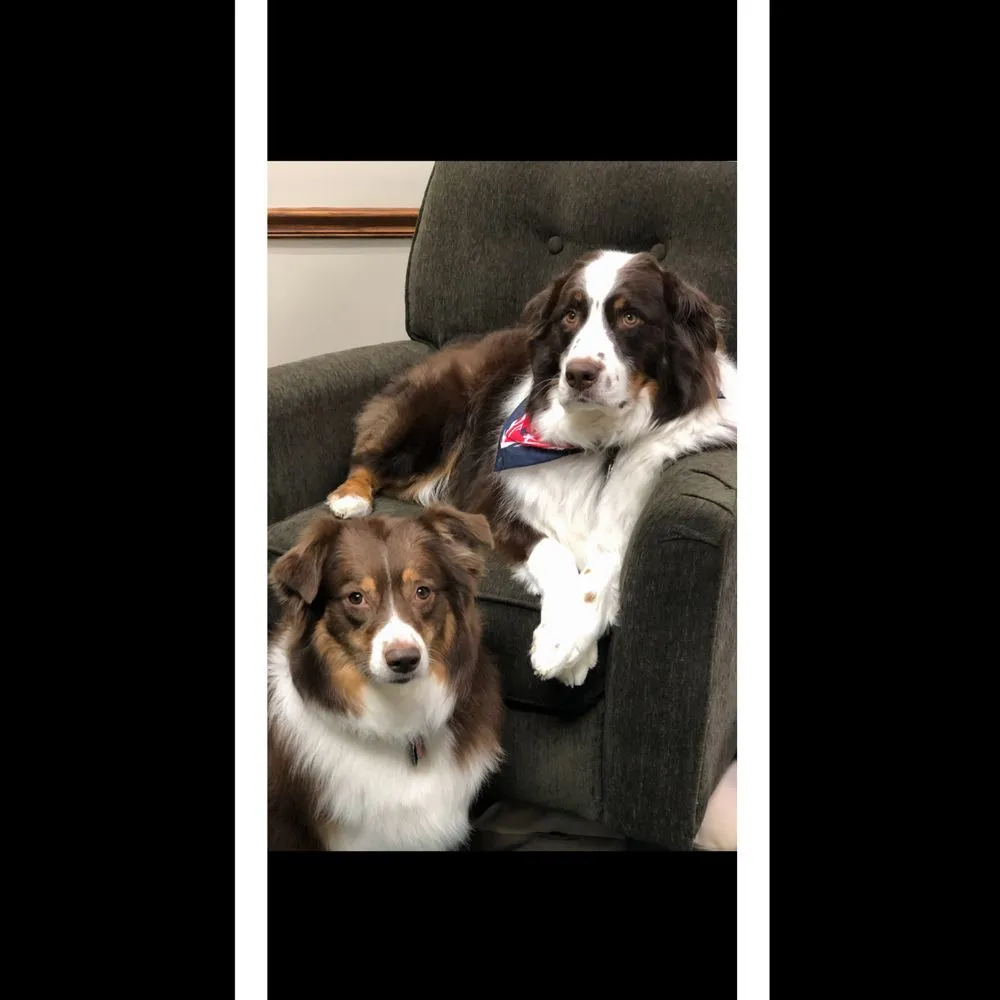 Slide of Maryland Plumbing & Heating