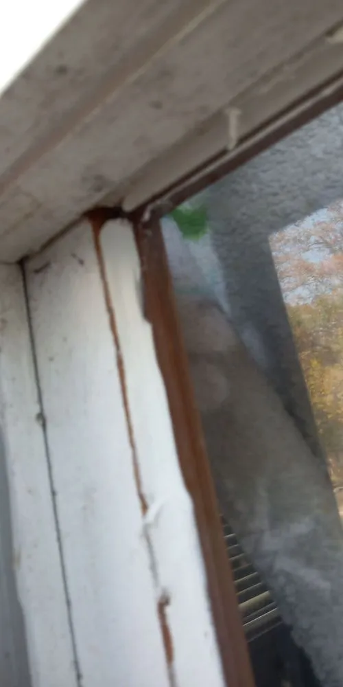 Professional leak detection in Belleville, IL by Master Handyman