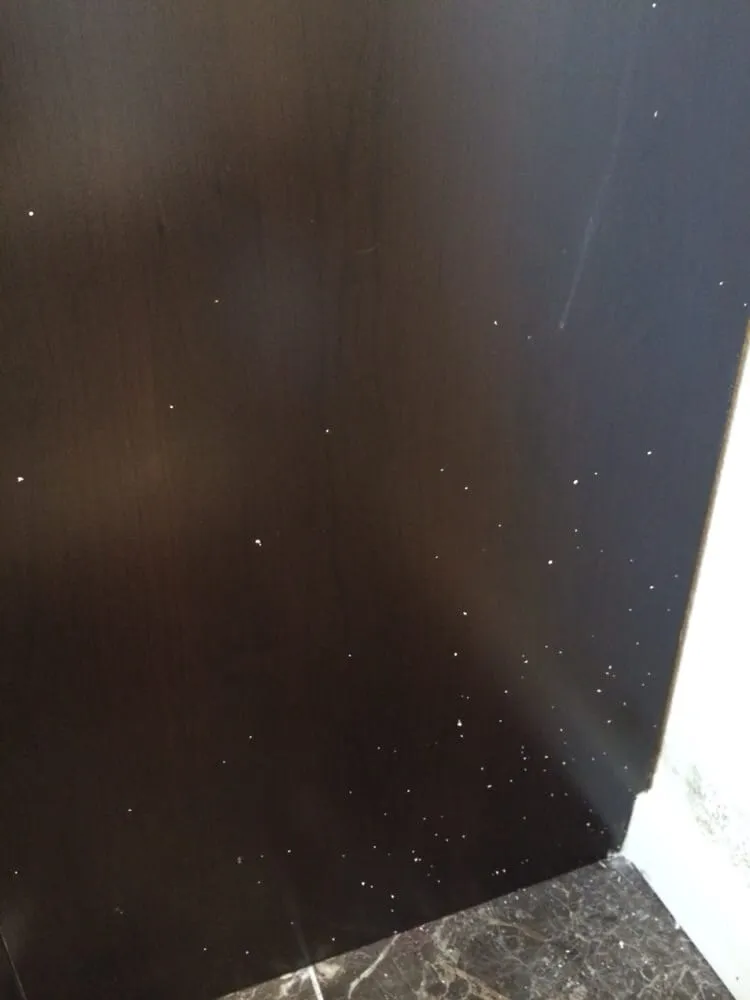 Slide of Master Project, Inc