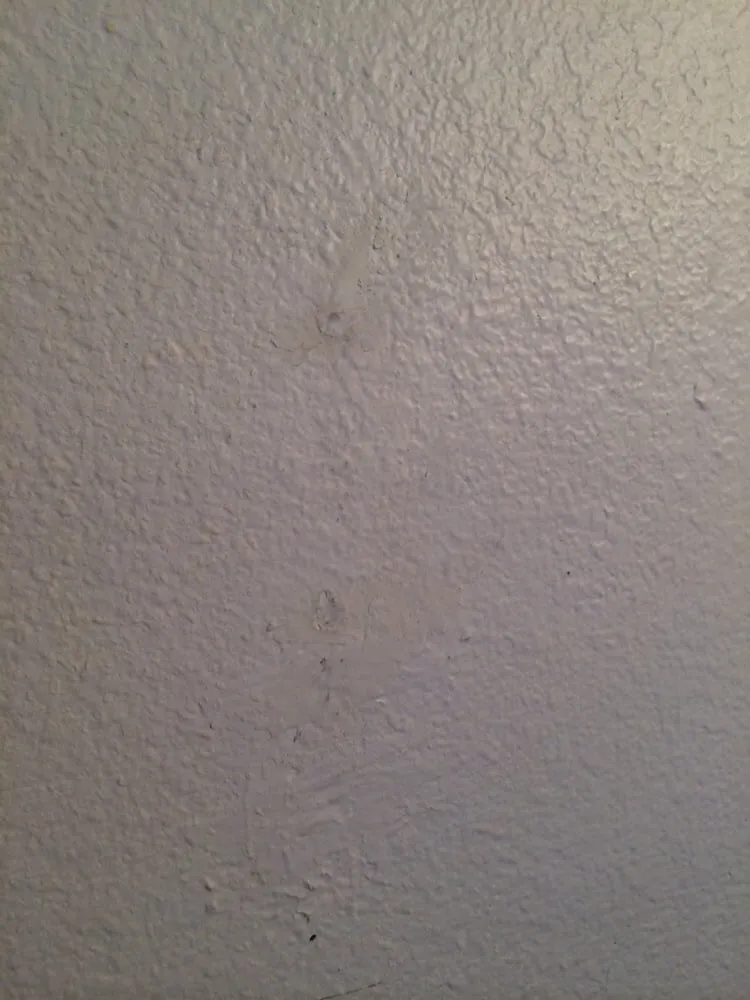 Slide of Master Project, Inc