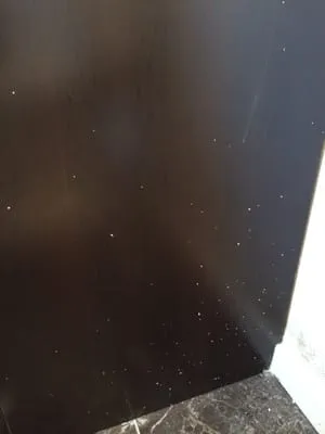 Master Project, Inc Logo