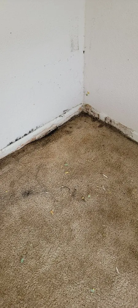 Trusted water heater service for homes in Riverside, CA by Master Recovery Restoration