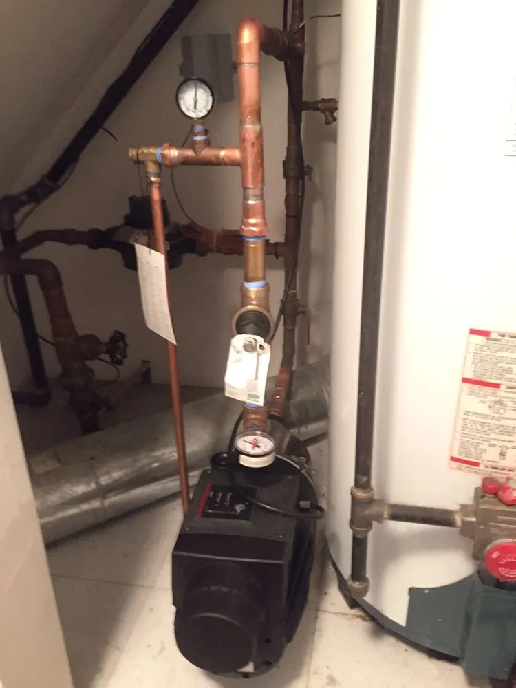 Slide of Master Rooter