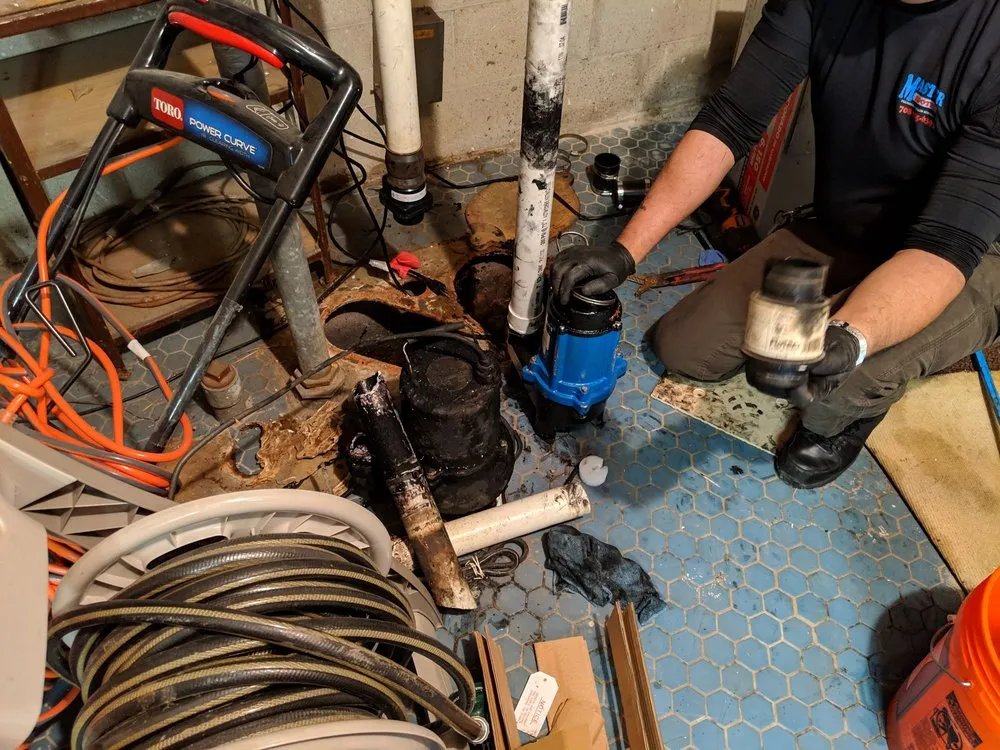 Slide of Master Rooter