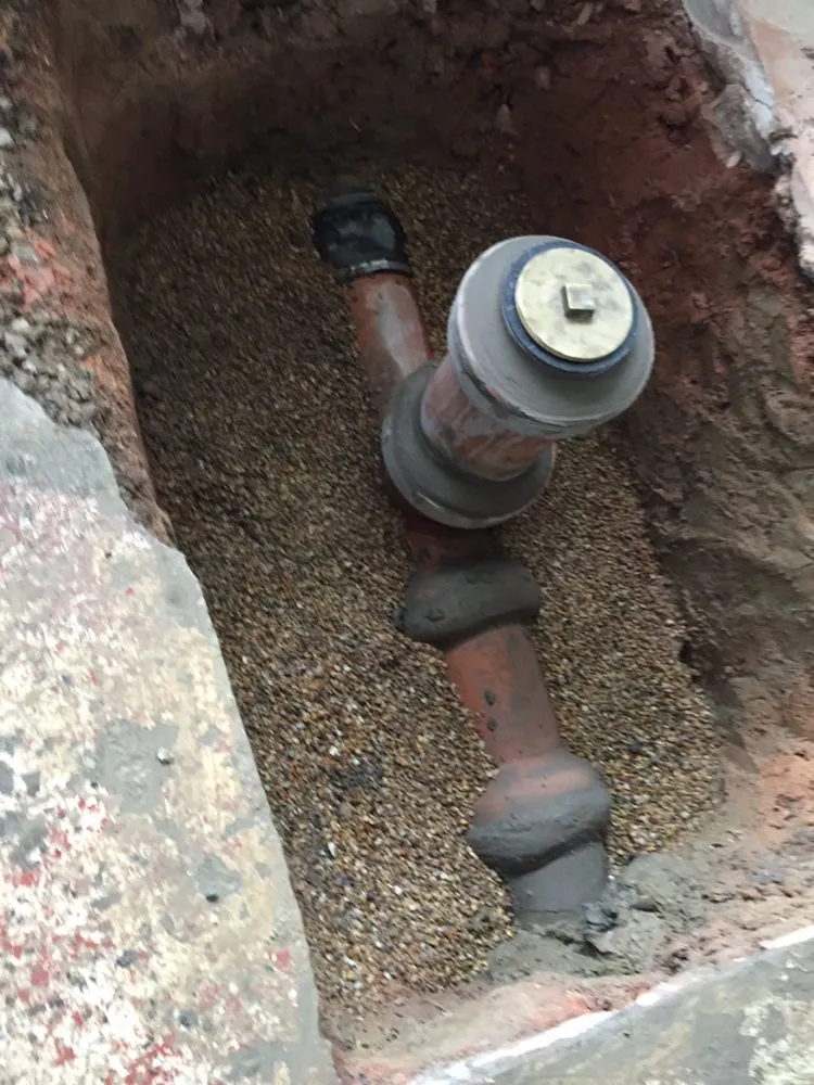 Slide of Master Rooter