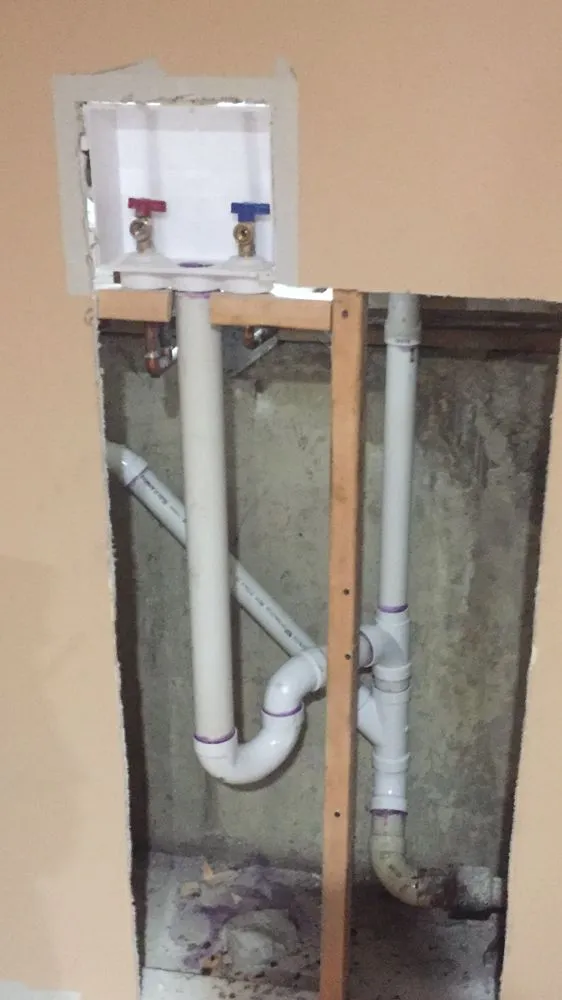 Slide of Master Rooter