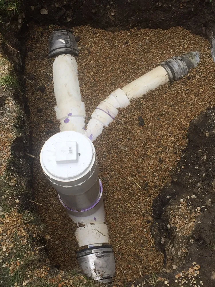 Slide of Master Rooter