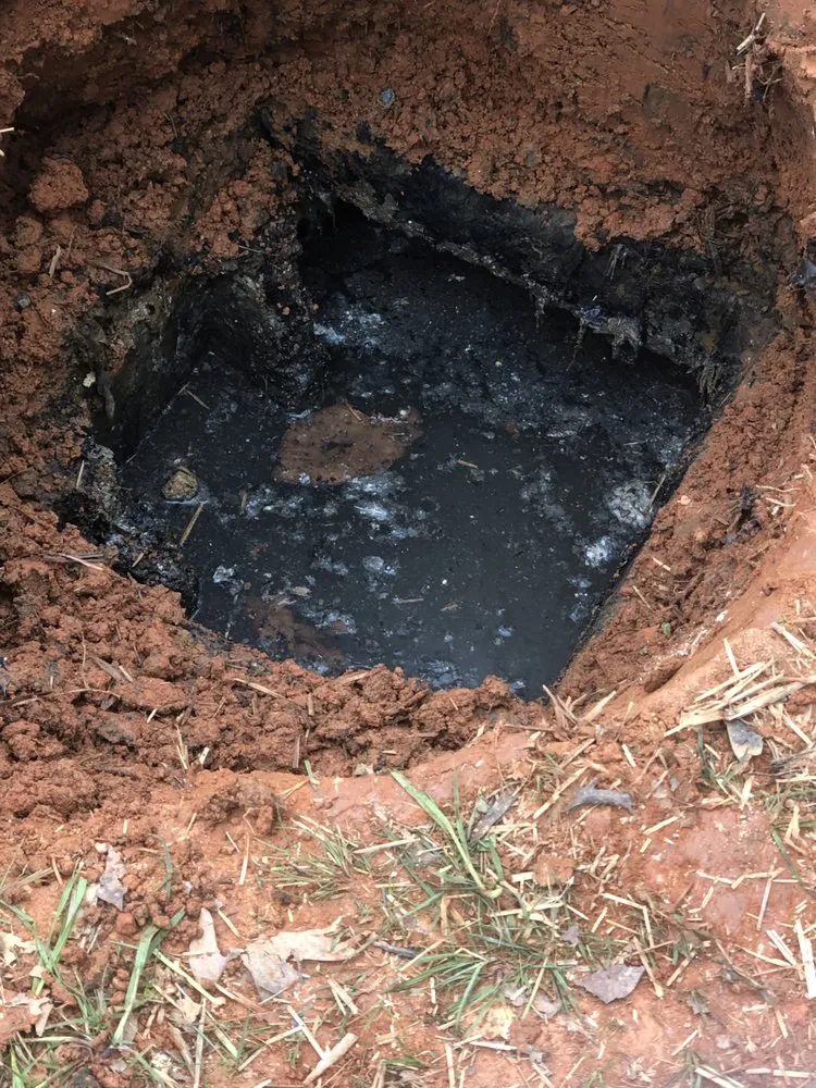 Slide of Master Rooter