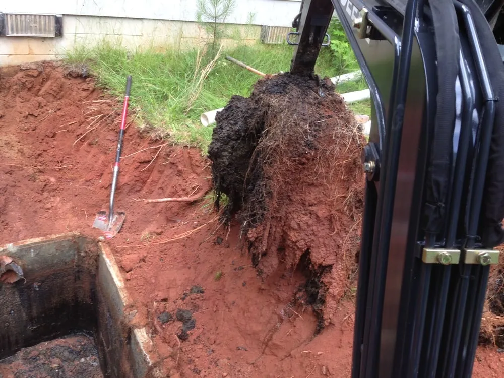 Slide of Master Rooter