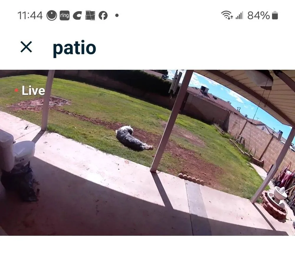 Slide of Master Rooter