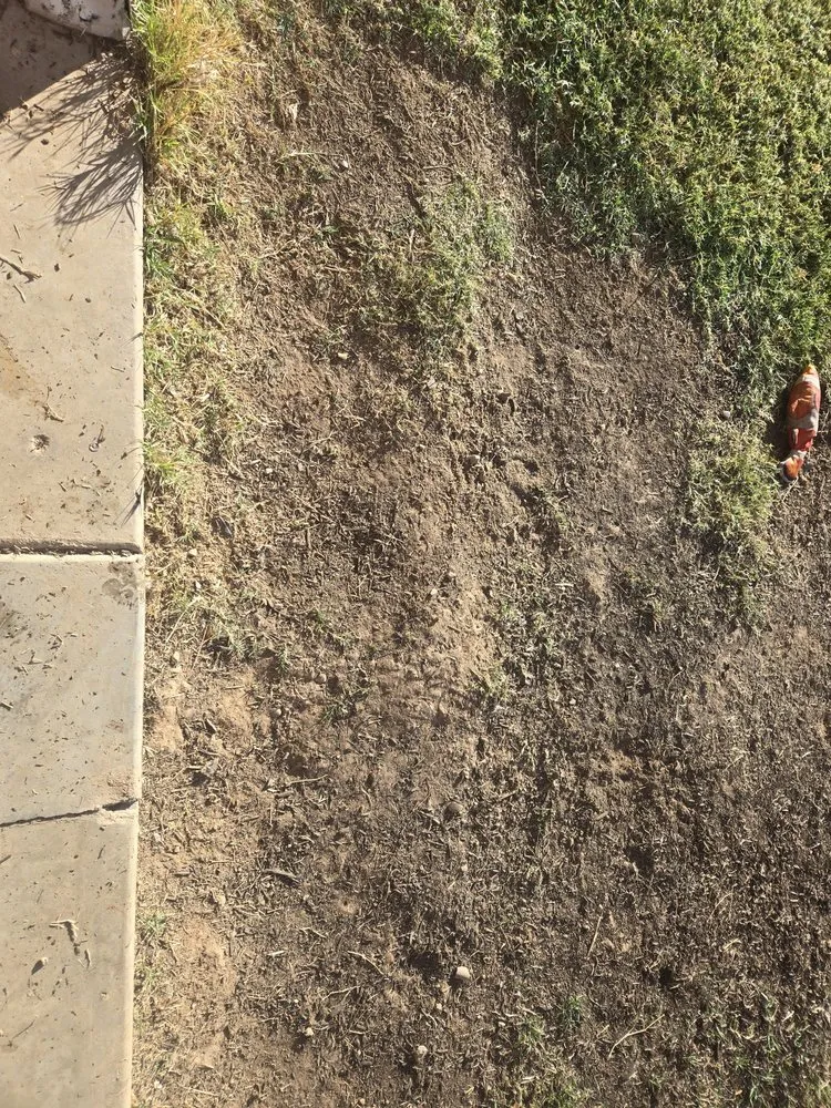 Slide of Master Rooter