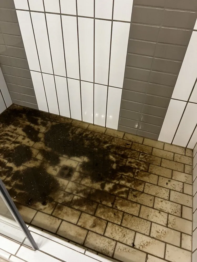 Slide of Master Rooter