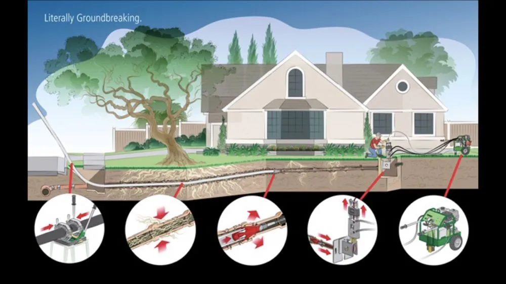 Slide of Master Rooter