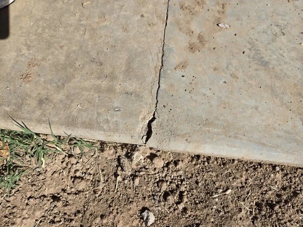 Slide of Master Rooter