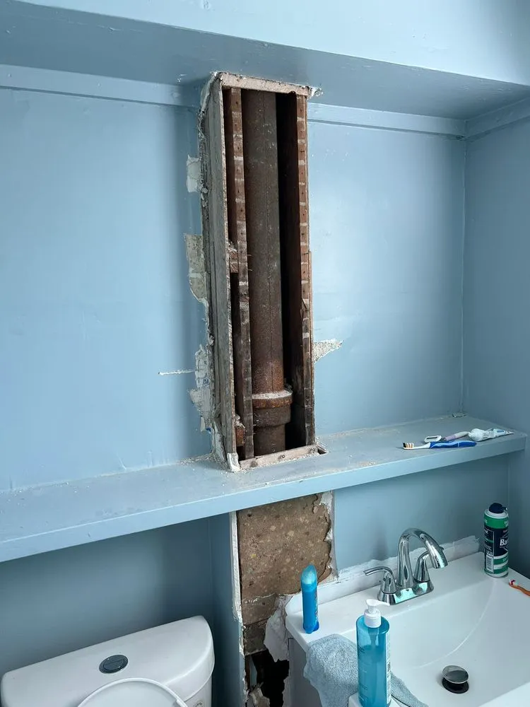 Slide of Master Rooter