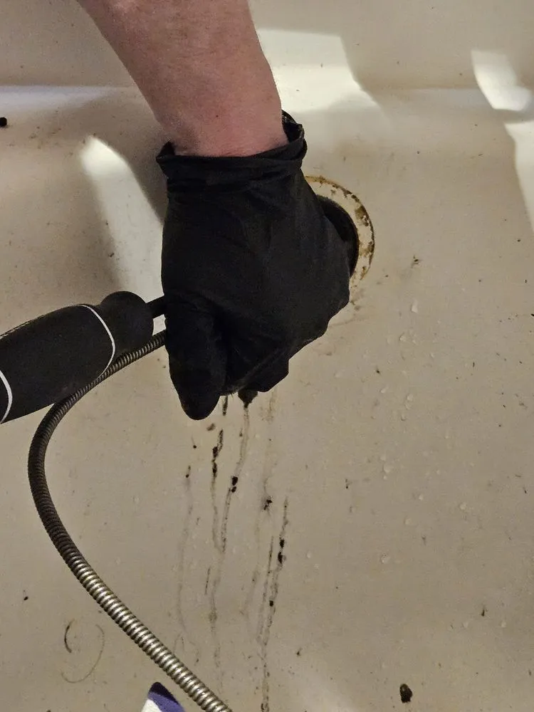 Slide of Master Rooter