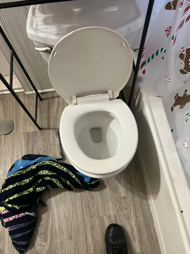 Slide of Master Rooter