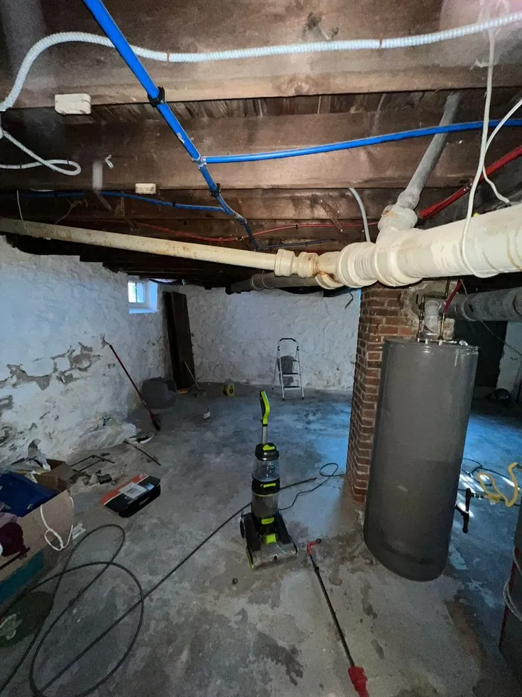 Slide of Master Rooter