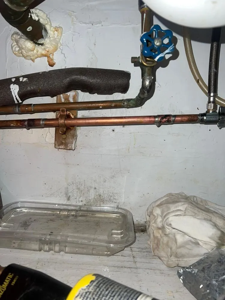 Slide of Master Rooter