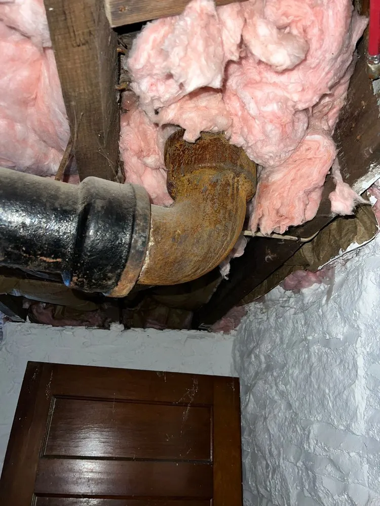 Slide of Master Rooter