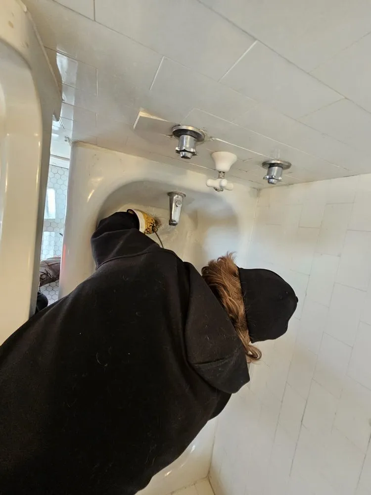 Slide of Master Rooter