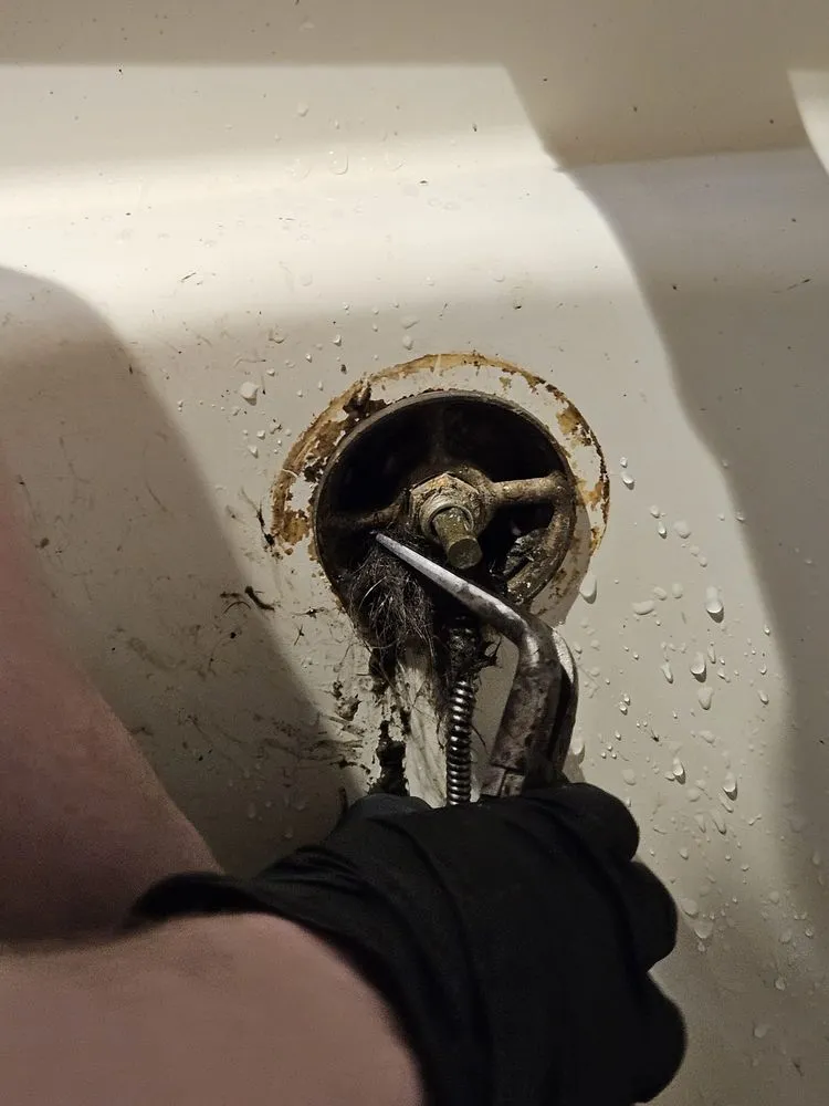 Slide of Master Rooter