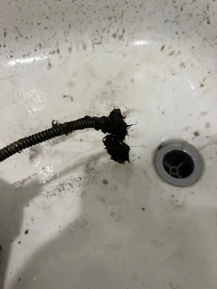 Slide of Master Rooter